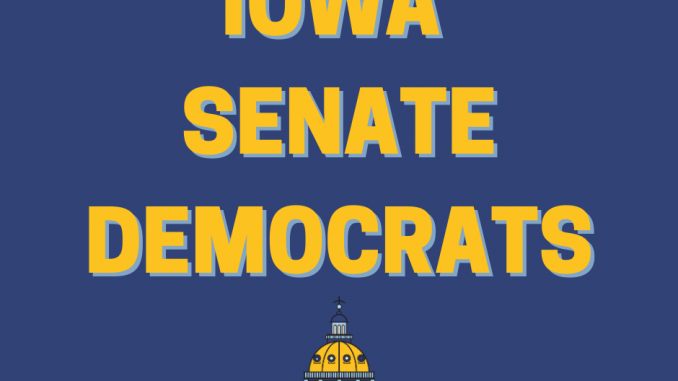 Iowa Senate Democratic Leader Pam Jochum Responds to Abortion Ban Bill ...